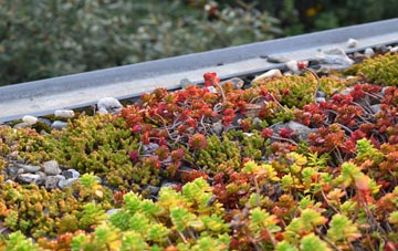 the cost of Gresford green roof installation