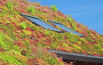 Gresford living roof systems