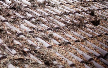 Gresford roof cleaning companies