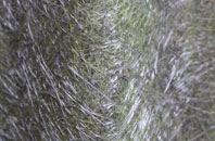 Gresford fibreglass roof work